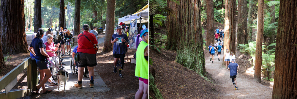 Born to Adapt New Zealand