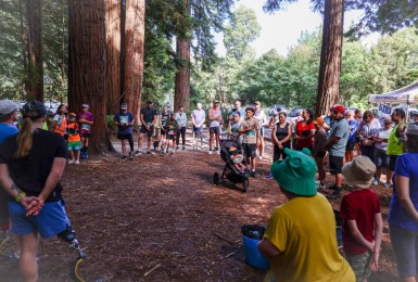 Born to Adapt Christchurch