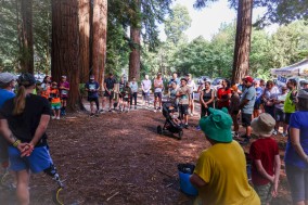 Born to Adapt Christchurch