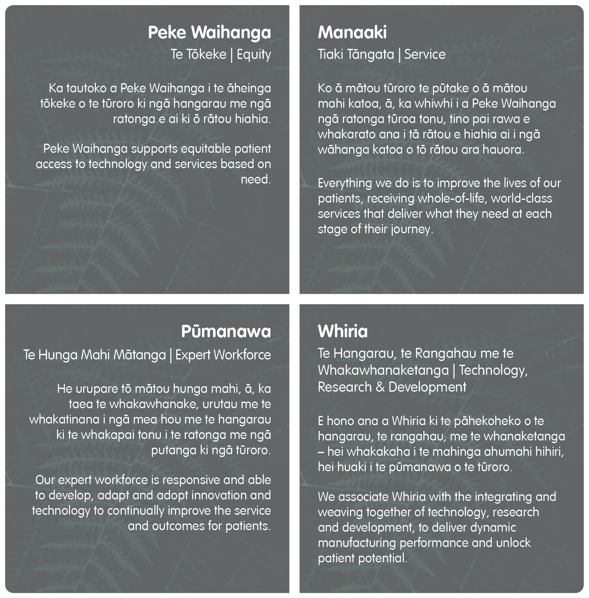 Peke Waihanga strategic objectives 2025