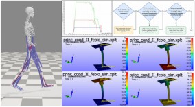 Simulation tools