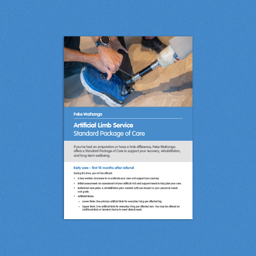 Read about the Peke Waihanga standard care package.
